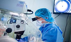 In Vitro Fertilization (IVH)